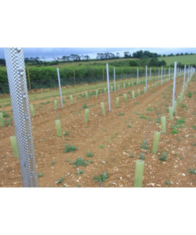 Hadley Maxi Stolper 270 cm.