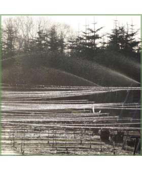 Frostsikring af vinmark