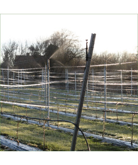 Frostsikring af vinmark